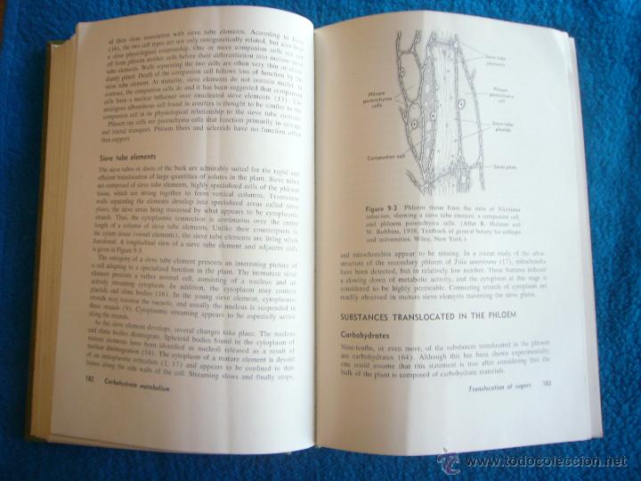 Libros de segunda mano: ROBERT DEVLIN: - PLANT PHYSIOLOGY - (NEW YORK, 1969) - Foto 4
