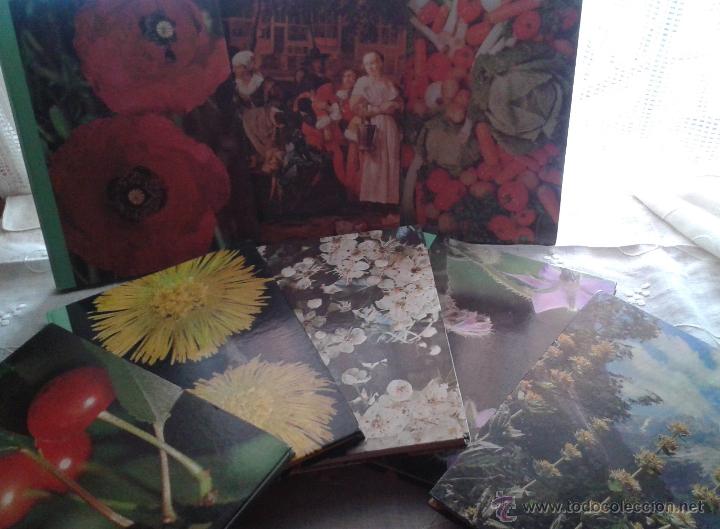 Libros de segunda mano: LAS PLANTAS NUESTRAS AMIGAS OBRA COMPLETA 8 TOMOS - Foto 1