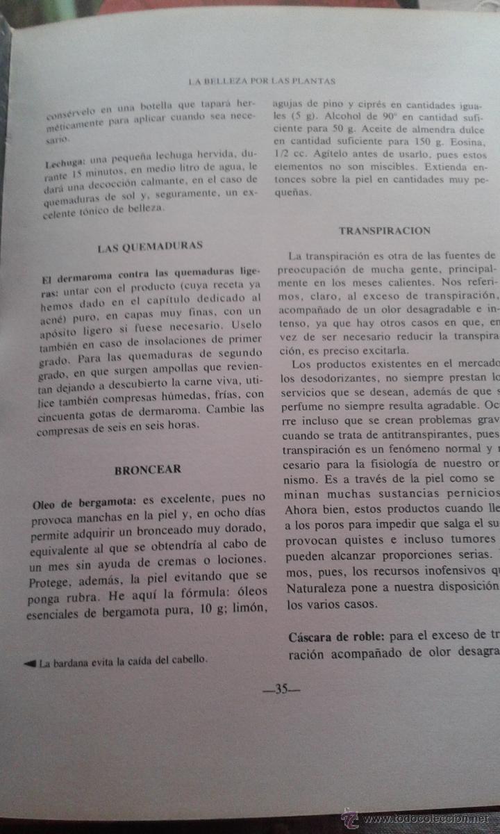 Libros de segunda mano: LAS PLANTAS NUESTRAS AMIGAS OBRA COMPLETA 8 TOMOS - Foto 4