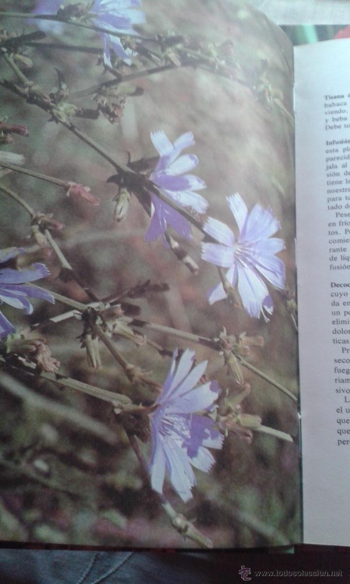 Libros de segunda mano: LAS PLANTAS NUESTRAS AMIGAS OBRA COMPLETA 8 TOMOS - Foto 5