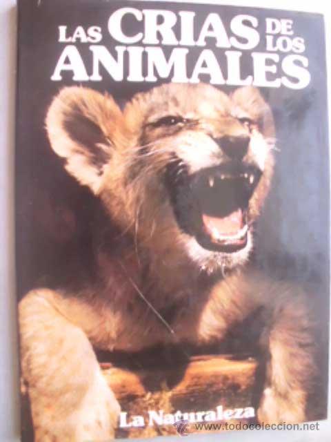 Libros de segunda mano: LAS CR&Iacute;AS DE LOS ANIMALES. BURTON, Jane. 1982 - Foto 1