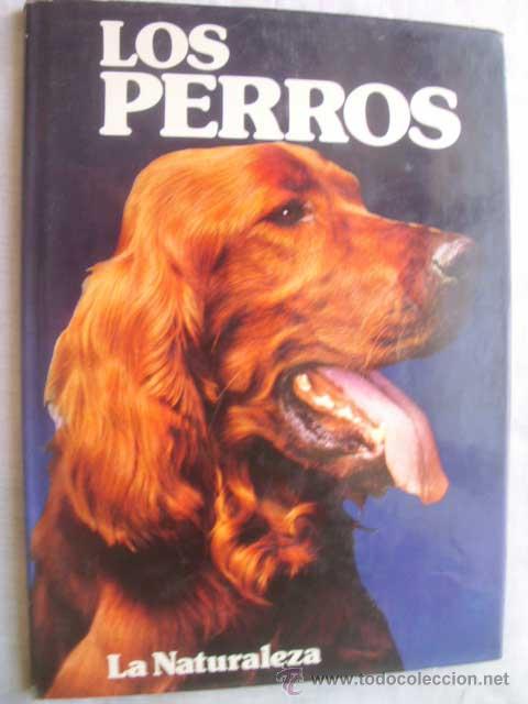 Libros de segunda mano: LOS PERROS. WRATTEN, Peggy. 1982 - Foto 1