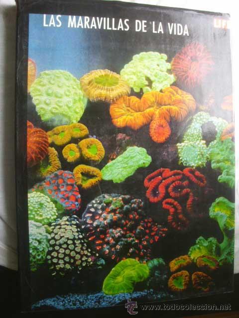 Libros de segunda mano: LAS MARAVILLAS DE LA VIDA. 1968 - Foto 1