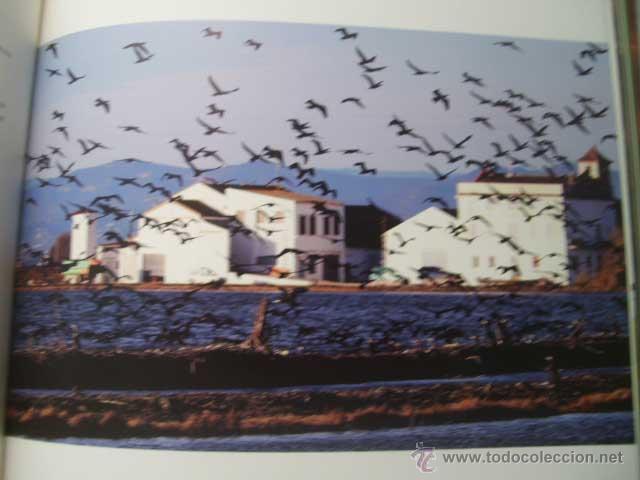 Libros de segunda mano: L&acute;ALBUFERA VIVA. P&Eacute;REZ PUCHE, Francisco. 2011 - Foto 2