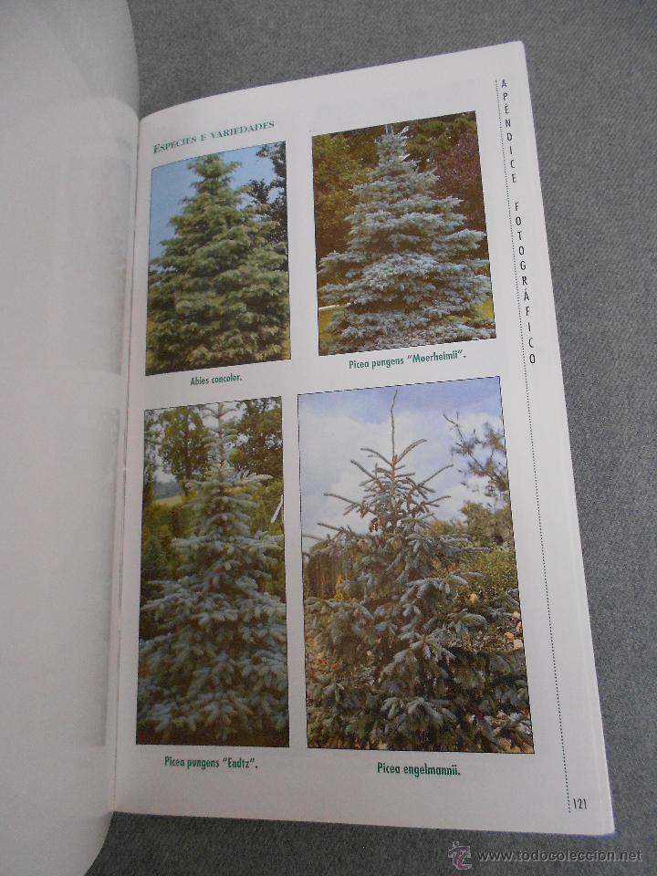 Libros de segunda mano: GUIA PRACTICA DE JARDINERIA EN GALICIA - Foto 3
