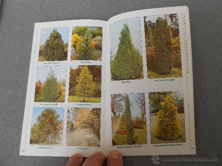 Libros de segunda mano: GUIA PRACTICA DE JARDINERIA EN GALICIA - Foto 4