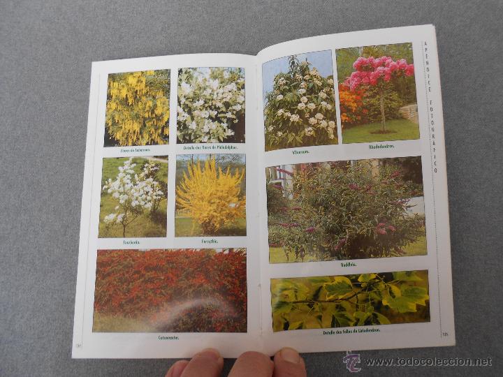 Libros de segunda mano: GUIA PRACTICA DE JARDINERIA EN GALICIA - Foto 5