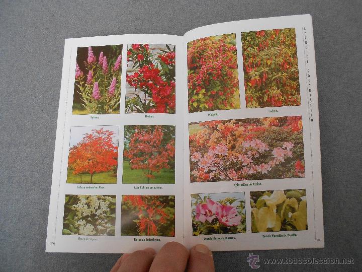 Libros de segunda mano: GUIA PRACTICA DE JARDINERIA EN GALICIA - Foto 6