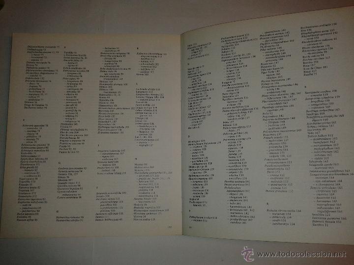 Libros de segunda mano: Indice 2 - Foto 4