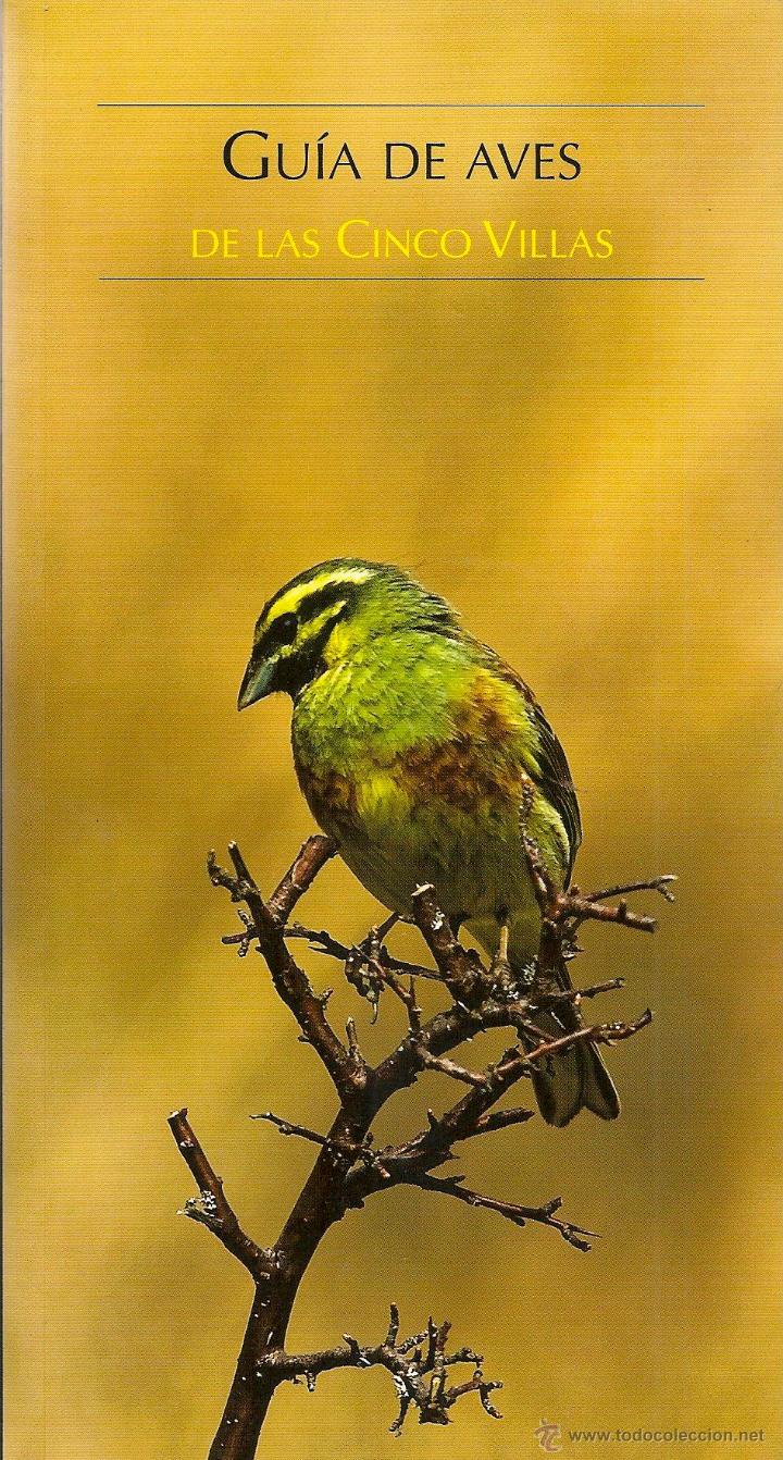 Gebrauchte B&uuml;cher: * ORNITOLOG&Iacute;A * P&Aacute;JAROS * Gu&iacute;a de aves de las Cinco Villas / Javier Blasco Zumeta