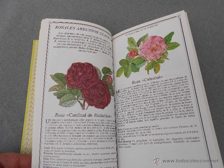 Libros de segunda mano: ROSAS. MANUAL PARA SU CUIDADO. - Foto 4
