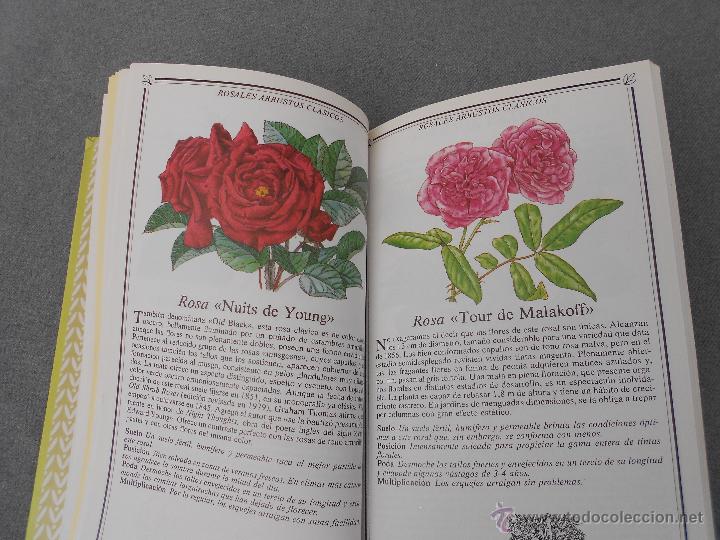 Libros de segunda mano: ROSAS. MANUAL PARA SU CUIDADO. - Foto 5