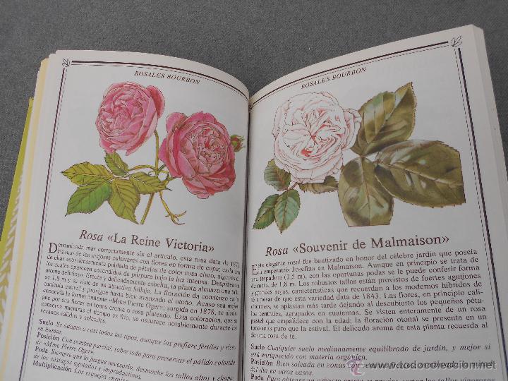 Libros de segunda mano: ROSAS. MANUAL PARA SU CUIDADO. - Foto 6