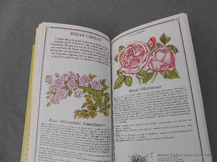 Libros de segunda mano: ROSAS. MANUAL PARA SU CUIDADO. - Foto 7