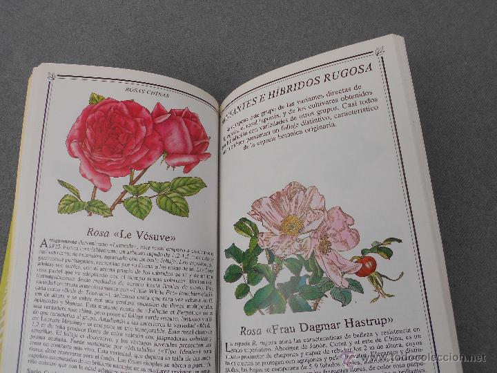 Libros de segunda mano: ROSAS. MANUAL PARA SU CUIDADO. - Foto 8