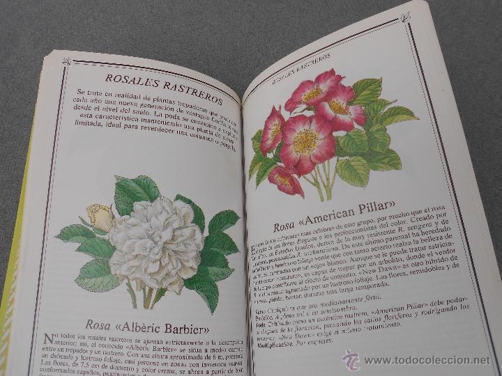 Libros de segunda mano: ROSAS. MANUAL PARA SU CUIDADO. - Foto 9