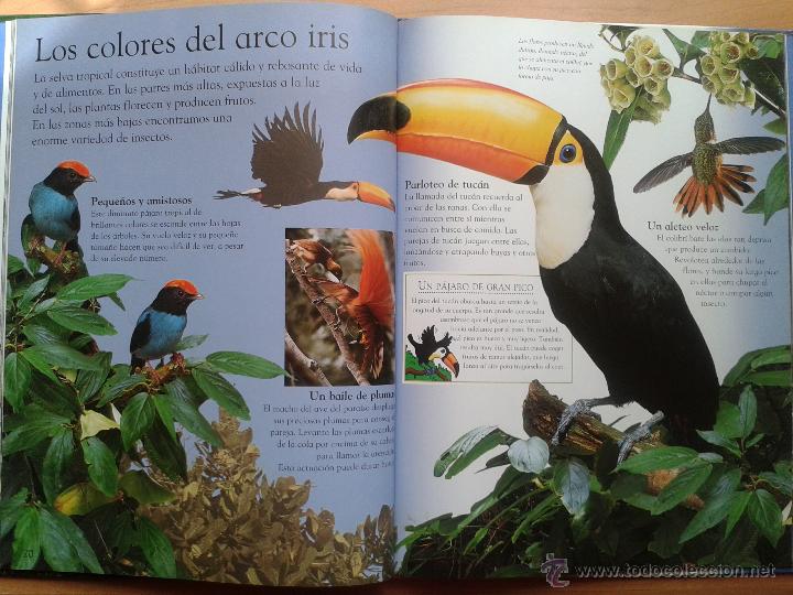 Libros de segunda mano: Aves. Colecci&oacute;n Abre los ojos. Pearson Educaci&oacute;n. Editorial Alhambra 2003. - Foto 3