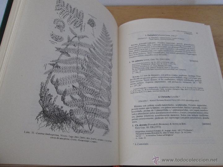 Libros de segunda mano: FLORA IBERICA. 4 TOMOS. E.D. REAL JARDIN BOTANICO. - Foto 13