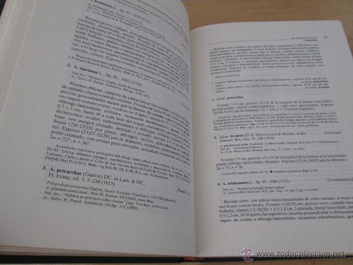 Libros de segunda mano: FLORA IBERICA. 4 TOMOS. E.D. REAL JARDIN BOTANICO. - Foto 14