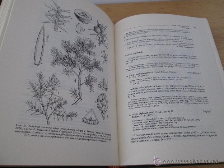 Libros de segunda mano: FLORA IBERICA. 4 TOMOS. E.D. REAL JARDIN BOTANICO. - Foto 15