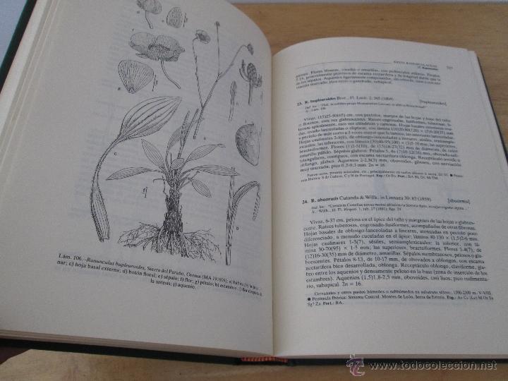 Libros de segunda mano: FLORA IBERICA. 4 TOMOS. E.D. REAL JARDIN BOTANICO. - Foto 17