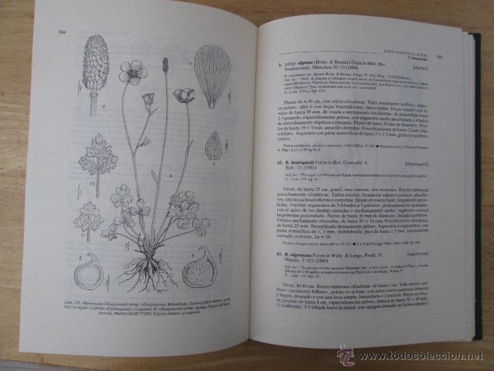 Libros de segunda mano: FLORA IBERICA. 4 TOMOS. E.D. REAL JARDIN BOTANICO. - Foto 19