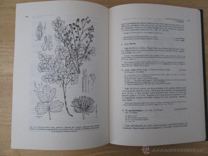 Libros de segunda mano: FLORA IBERICA. 4 TOMOS. E.D. REAL JARDIN BOTANICO. - Foto 20