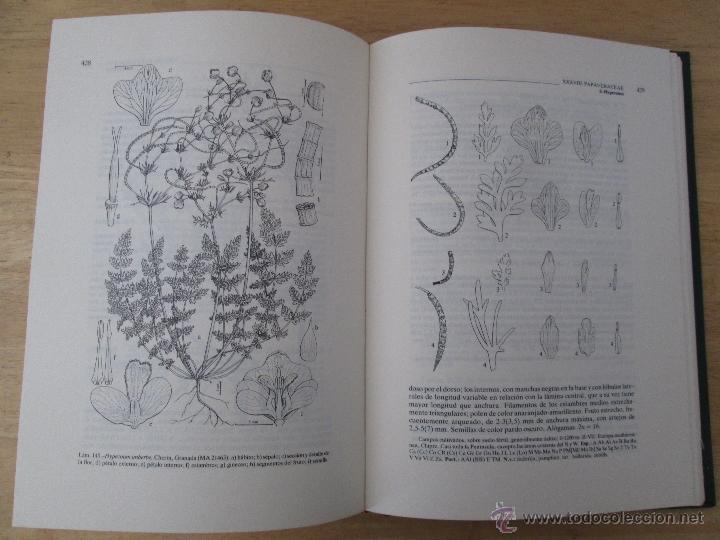 Libros de segunda mano: FLORA IBERICA. 4 TOMOS. E.D. REAL JARDIN BOTANICO. - Foto 21