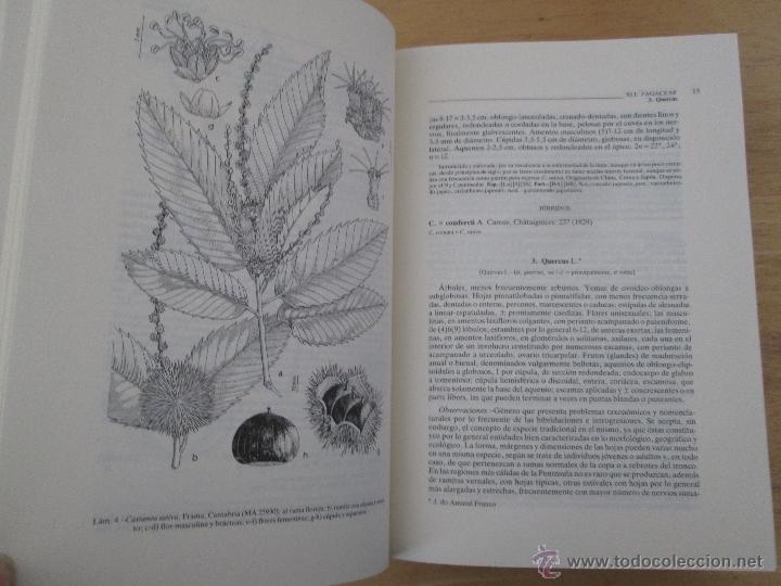 Libros de segunda mano: FLORA IBERICA. 4 TOMOS. E.D. REAL JARDIN BOTANICO. - Foto 28