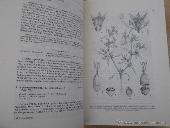 Libros de segunda mano: FLORA IBERICA. 4 TOMOS. E.D. REAL JARDIN BOTANICO. - Foto 29