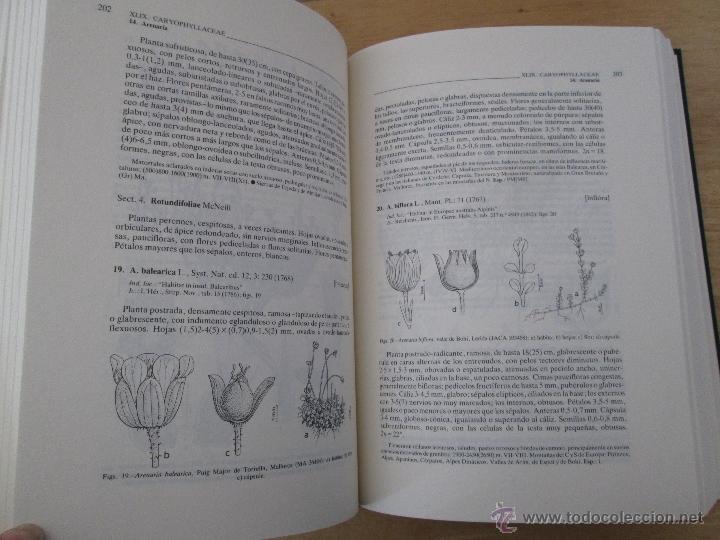 Libros de segunda mano: FLORA IBERICA. 4 TOMOS. E.D. REAL JARDIN BOTANICO. - Foto 30