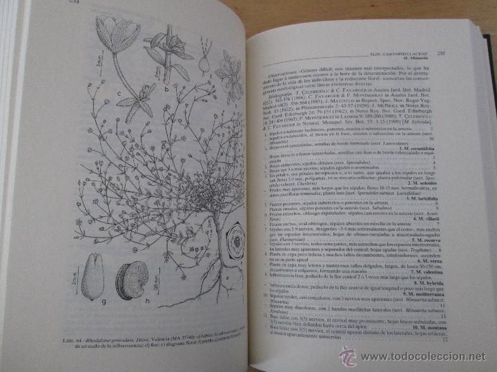 Libros de segunda mano: FLORA IBERICA. 4 TOMOS. E.D. REAL JARDIN BOTANICO. - Foto 31