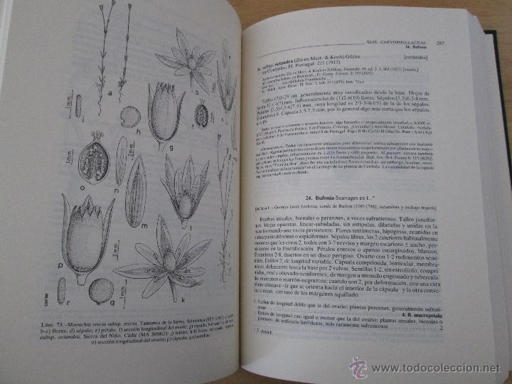 Libros de segunda mano: FLORA IBERICA. 4 TOMOS. E.D. REAL JARDIN BOTANICO. - Foto 32