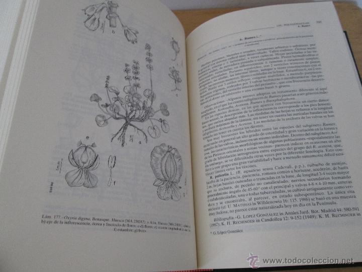 Libros de segunda mano: FLORA IBERICA. 4 TOMOS. E.D. REAL JARDIN BOTANICO. - Foto 36