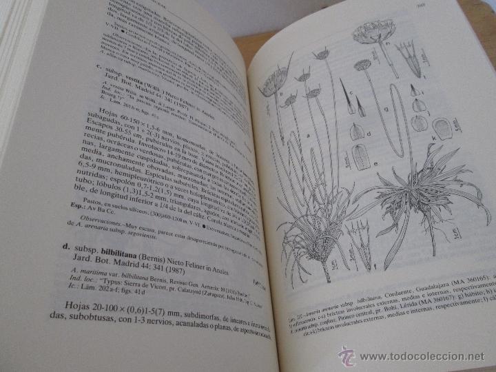 Libros de segunda mano: FLORA IBERICA. 4 TOMOS. E.D. REAL JARDIN BOTANICO. - Foto 37