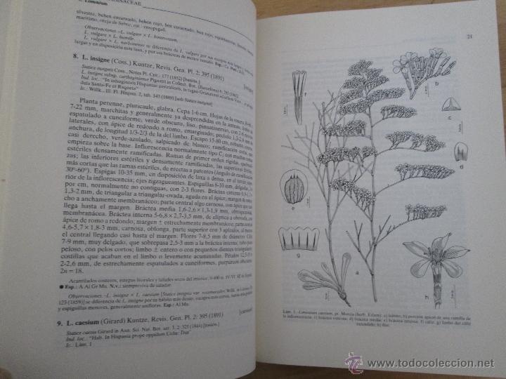 Libros de segunda mano: FLORA IBERICA. 4 TOMOS. E.D. REAL JARDIN BOTANICO. - Foto 45