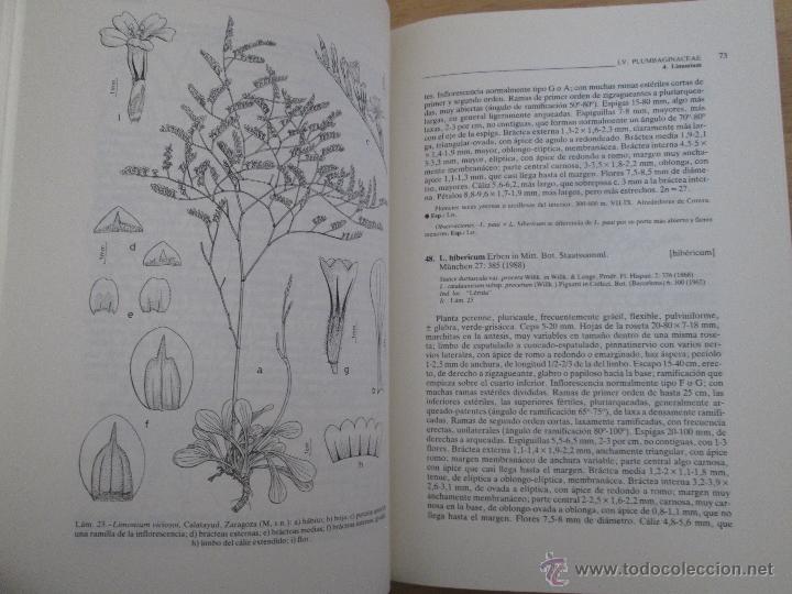 Libros de segunda mano: FLORA IBERICA. 4 TOMOS. E.D. REAL JARDIN BOTANICO. - Foto 46