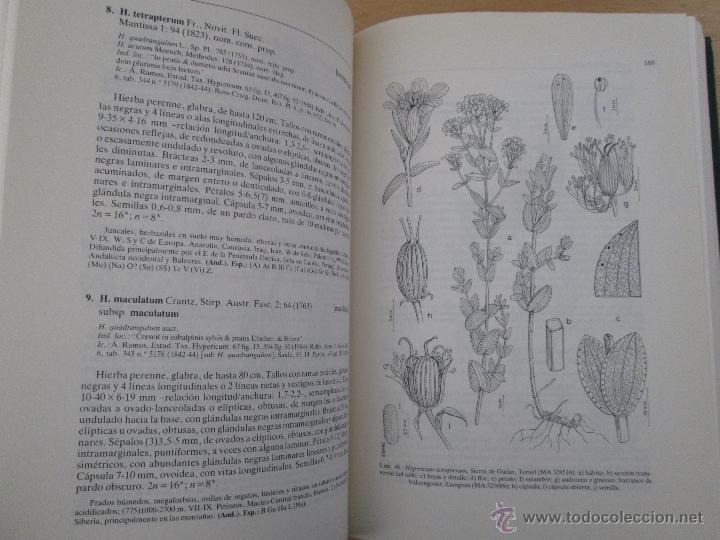 Libros de segunda mano: FLORA IBERICA. 4 TOMOS. E.D. REAL JARDIN BOTANICO. - Foto 47