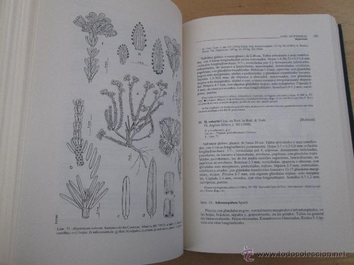 Libros de segunda mano: FLORA IBERICA. 4 TOMOS. E.D. REAL JARDIN BOTANICO. - Foto 48