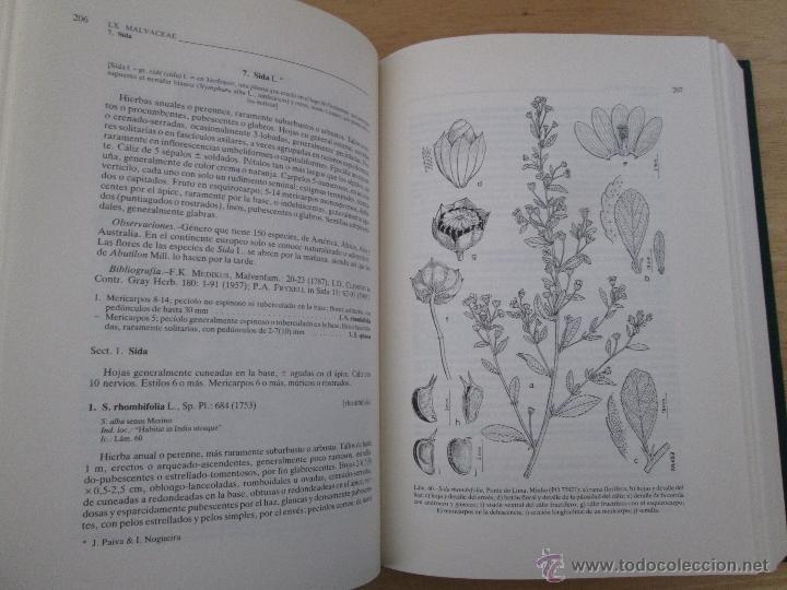 Libros de segunda mano: FLORA IBERICA. 4 TOMOS. E.D. REAL JARDIN BOTANICO. - Foto 49