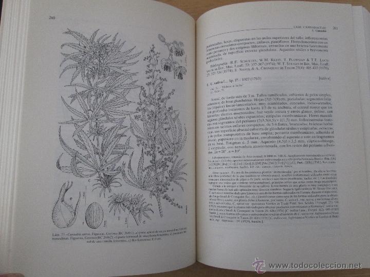 Libros de segunda mano: FLORA IBERICA. 4 TOMOS. E.D. REAL JARDIN BOTANICO. - Foto 50