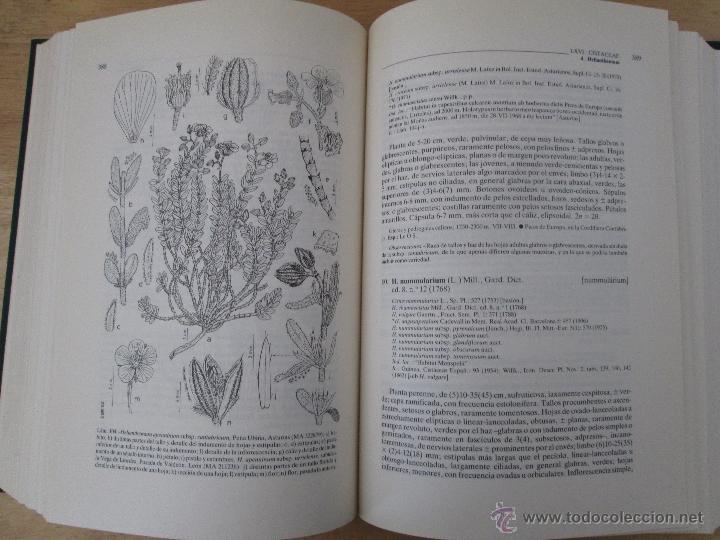 Libros de segunda mano: FLORA IBERICA. 4 TOMOS. E.D. REAL JARDIN BOTANICO. - Foto 52