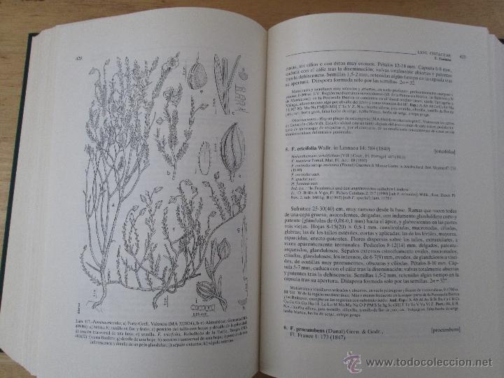 Libros de segunda mano: FLORA IBERICA. 4 TOMOS. E.D. REAL JARDIN BOTANICO. - Foto 53
