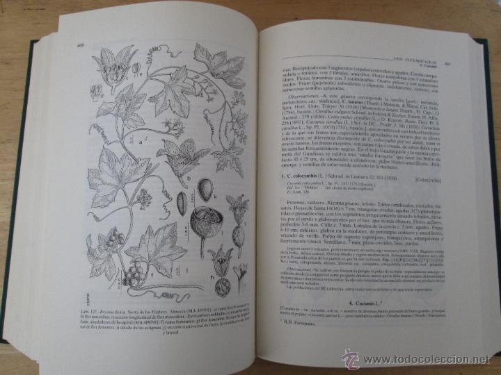 Libros de segunda mano: FLORA IBERICA. 4 TOMOS. E.D. REAL JARDIN BOTANICO. - Foto 54