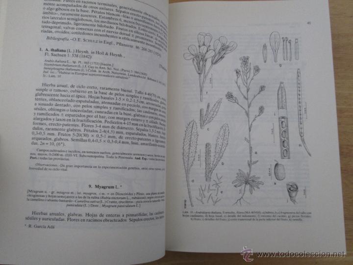Libros de segunda mano: FLORA IBERICA. 4 TOMOS. E.D. REAL JARDIN BOTANICO. - Foto 64