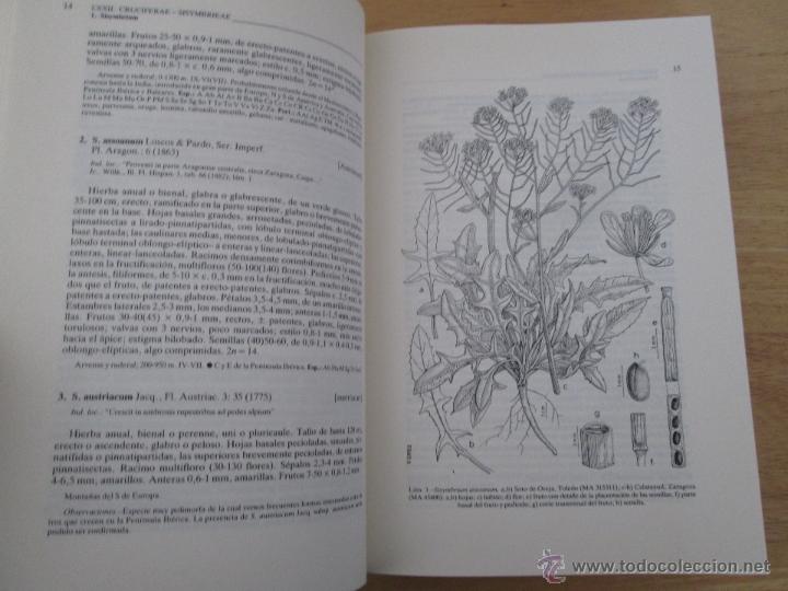 Libros de segunda mano: FLORA IBERICA. 4 TOMOS. E.D. REAL JARDIN BOTANICO. - Foto 65