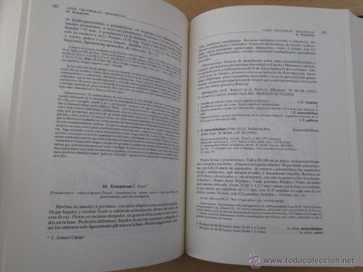 Libros de segunda mano: FLORA IBERICA. 4 TOMOS. E.D. REAL JARDIN BOTANICO. - Foto 66