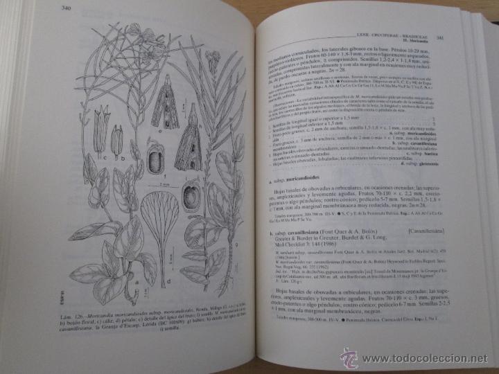 Libros de segunda mano: FLORA IBERICA. 4 TOMOS. E.D. REAL JARDIN BOTANICO. - Foto 67
