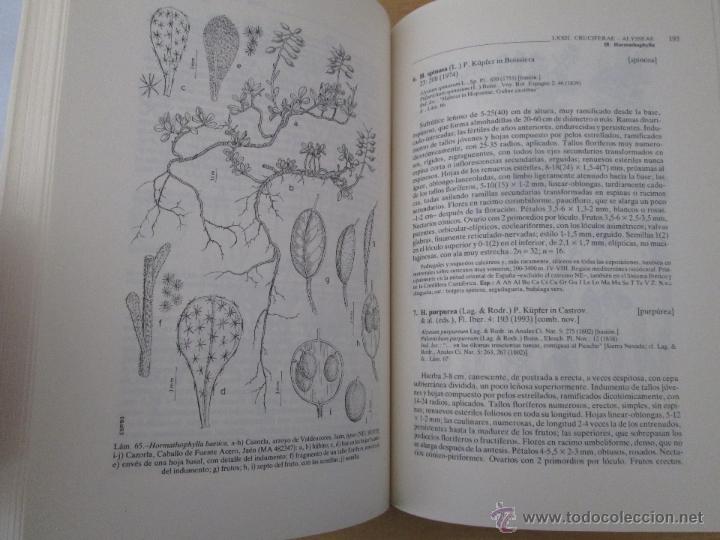Libros de segunda mano: FLORA IBERICA. 4 TOMOS. E.D. REAL JARDIN BOTANICO. - Foto 70