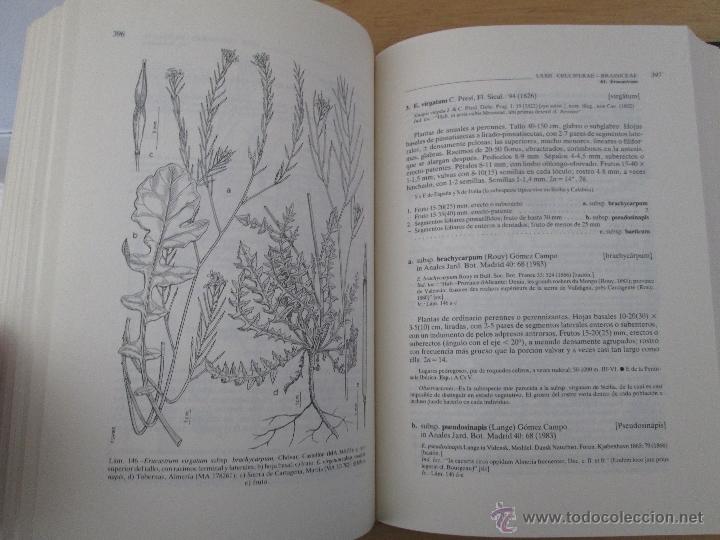 Libros de segunda mano: FLORA IBERICA. 4 TOMOS. E.D. REAL JARDIN BOTANICO. - Foto 71